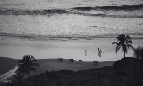 Hidden Beach of Goa